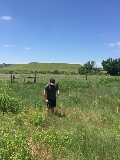 Ryan doin' one of his favorite things - stopping roadside to collect sage and grasses to dry. 