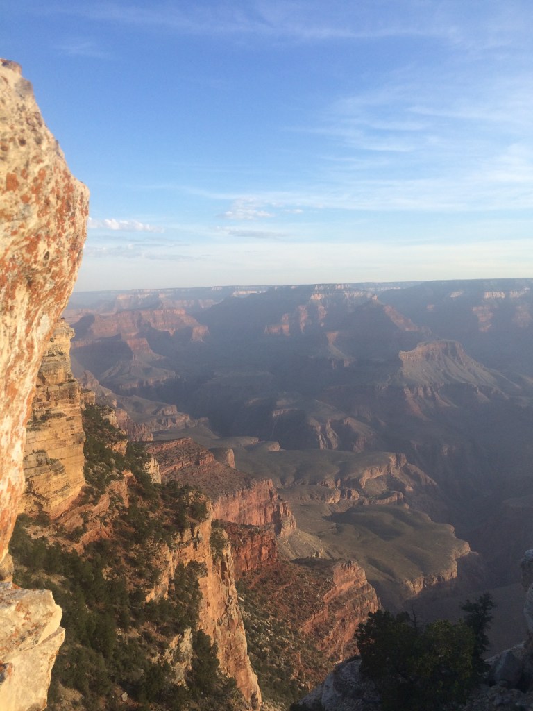 Colors coming alive.