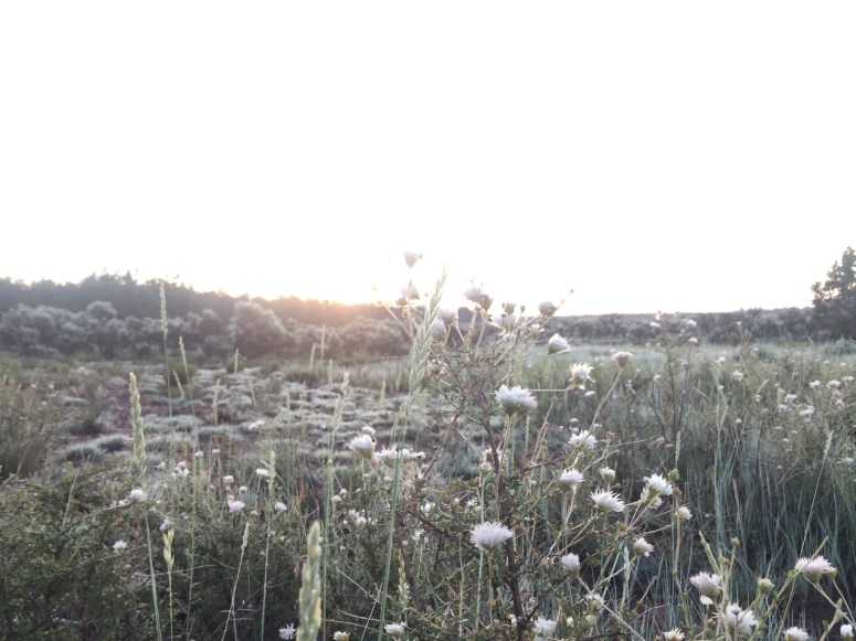 Proof we made it up before the sun broke free of the horizon.