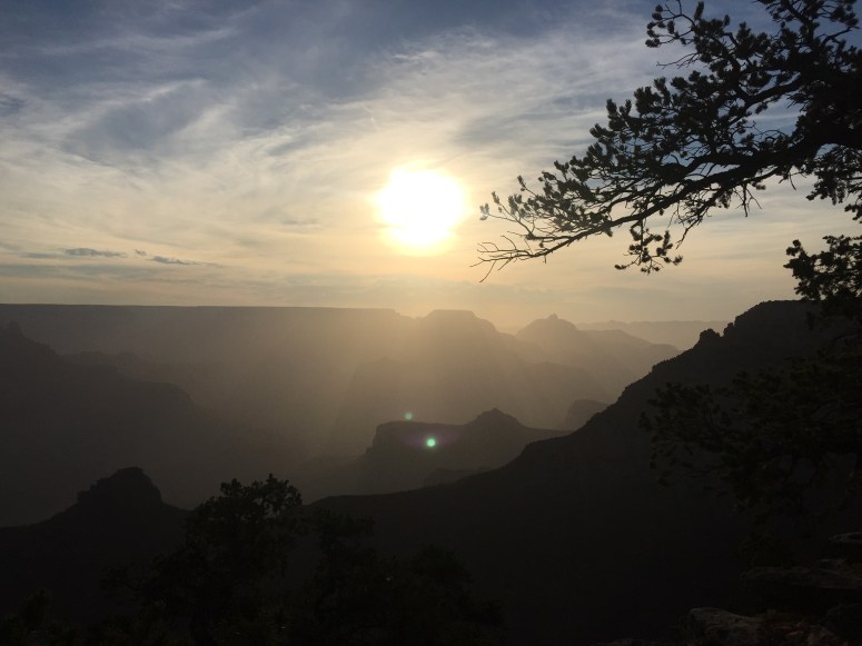 Amorphous masses in the mist.